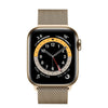 Curea Magnetica din Otel Inoxidabil, pentru Apple Watch, Gold